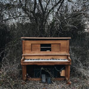 WHEN I WAS IN THE WILDERNESS, I WROTE A SONG