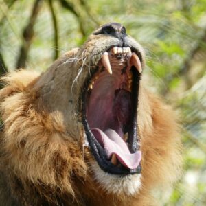 I See Ya Mouth Movin, But You Ain't Sayin Nothin