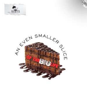 An Even Smaller Slice Of The Big Life