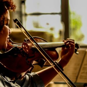Violins