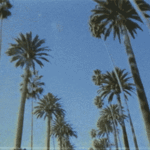 track-artwork